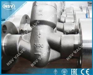 Supapa de verificare forjată PSB