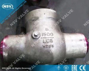 Supapa de verificare a discului înclinarea garniturii de presiune